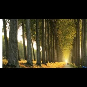 Meet your Posher, Diana